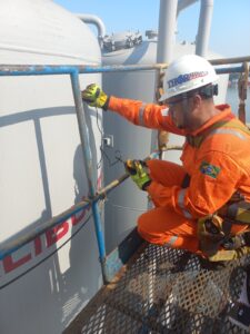 WhatsApp Image 2025-05-21 at 12.13.54 (1)